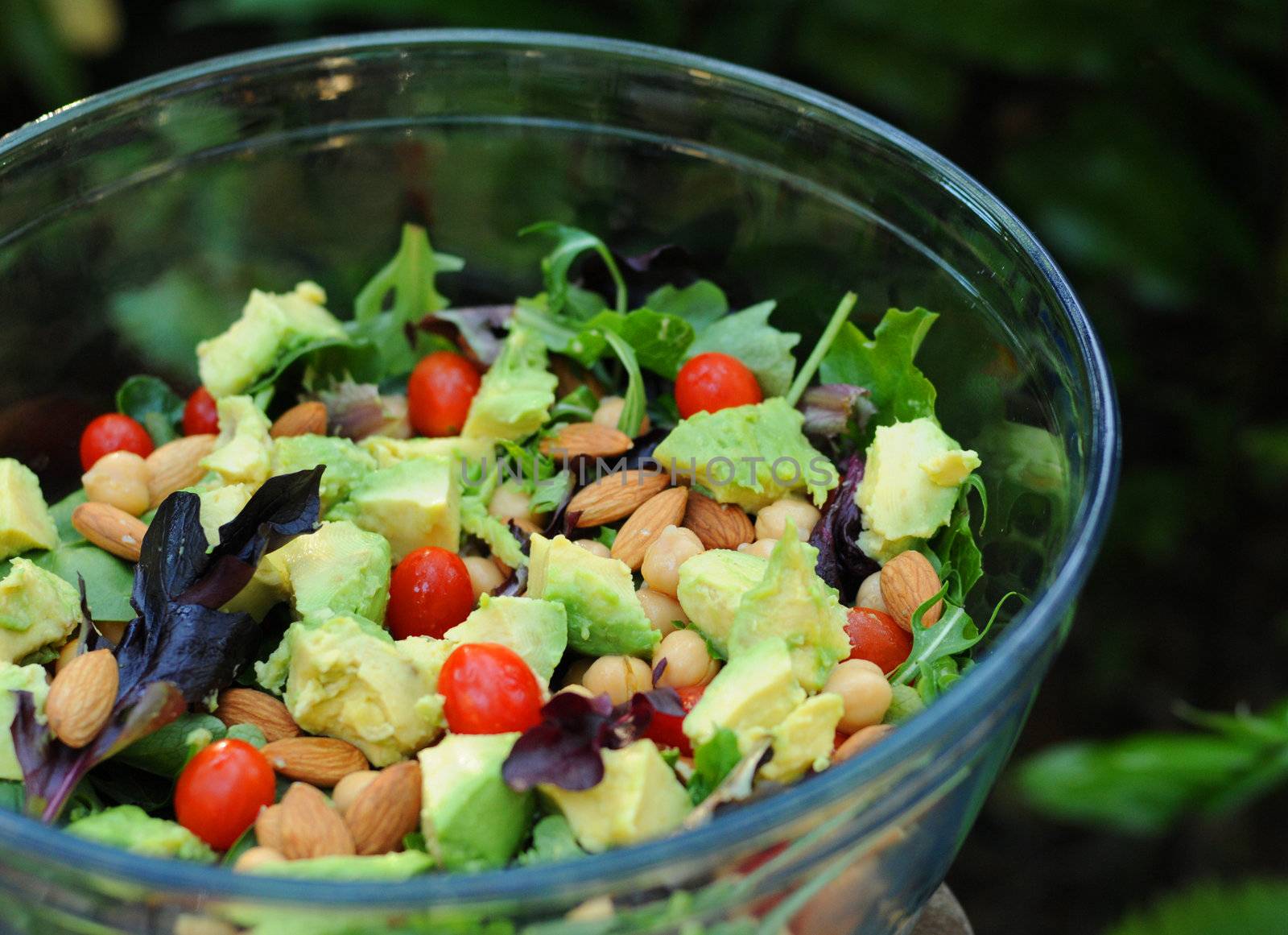 Mixed green salad with avocadoes, tomatoes, chickpeas and almonds