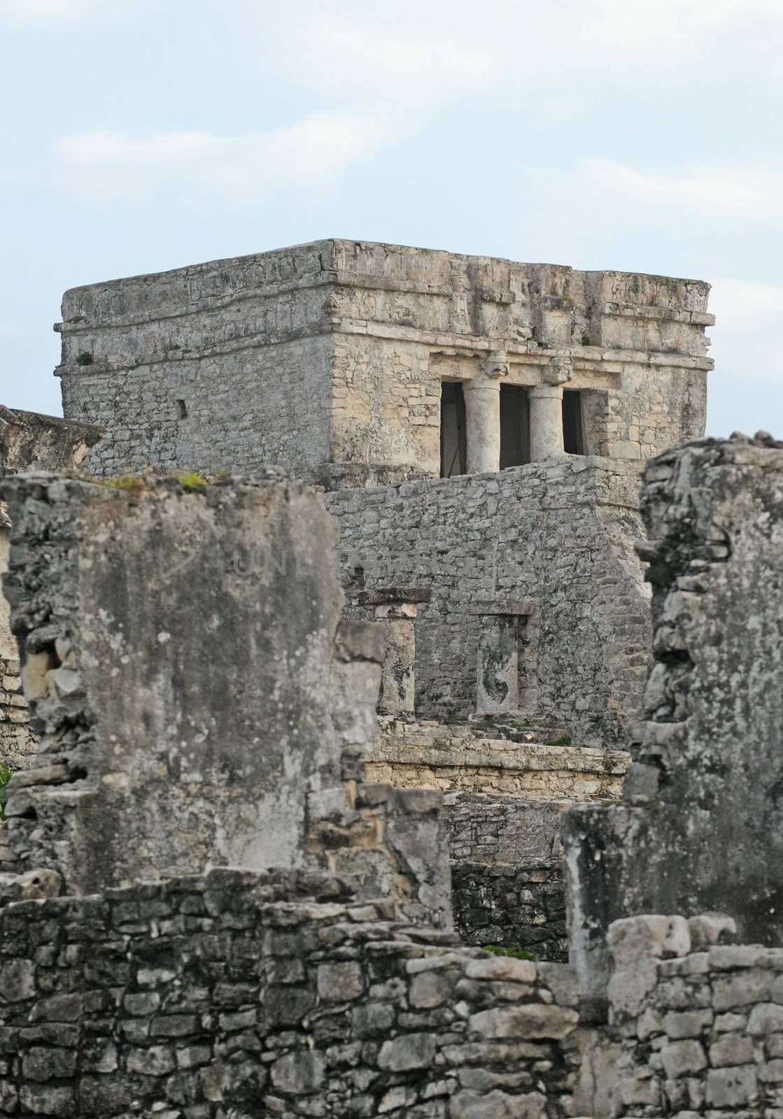 Ancient Mayan Ruins  by ftlaudgirl