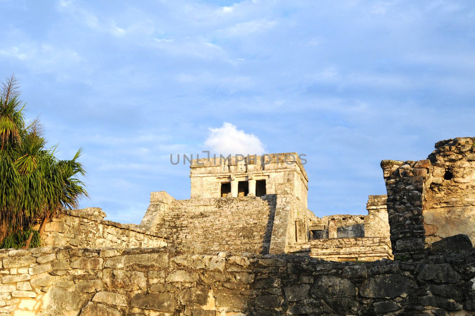 mayan ruins in tropcial destination with palm trees in mexico