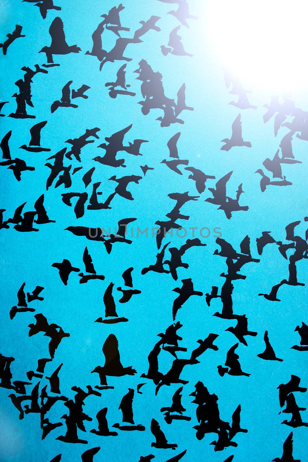 Set of black silhouettes of birds on a blue background