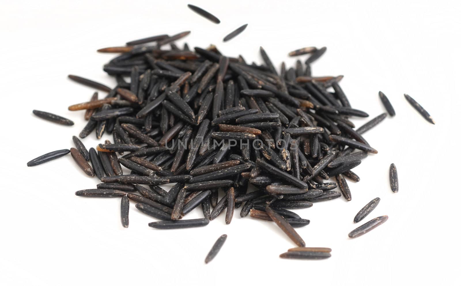 Wild rice which is a whole grain on a white background