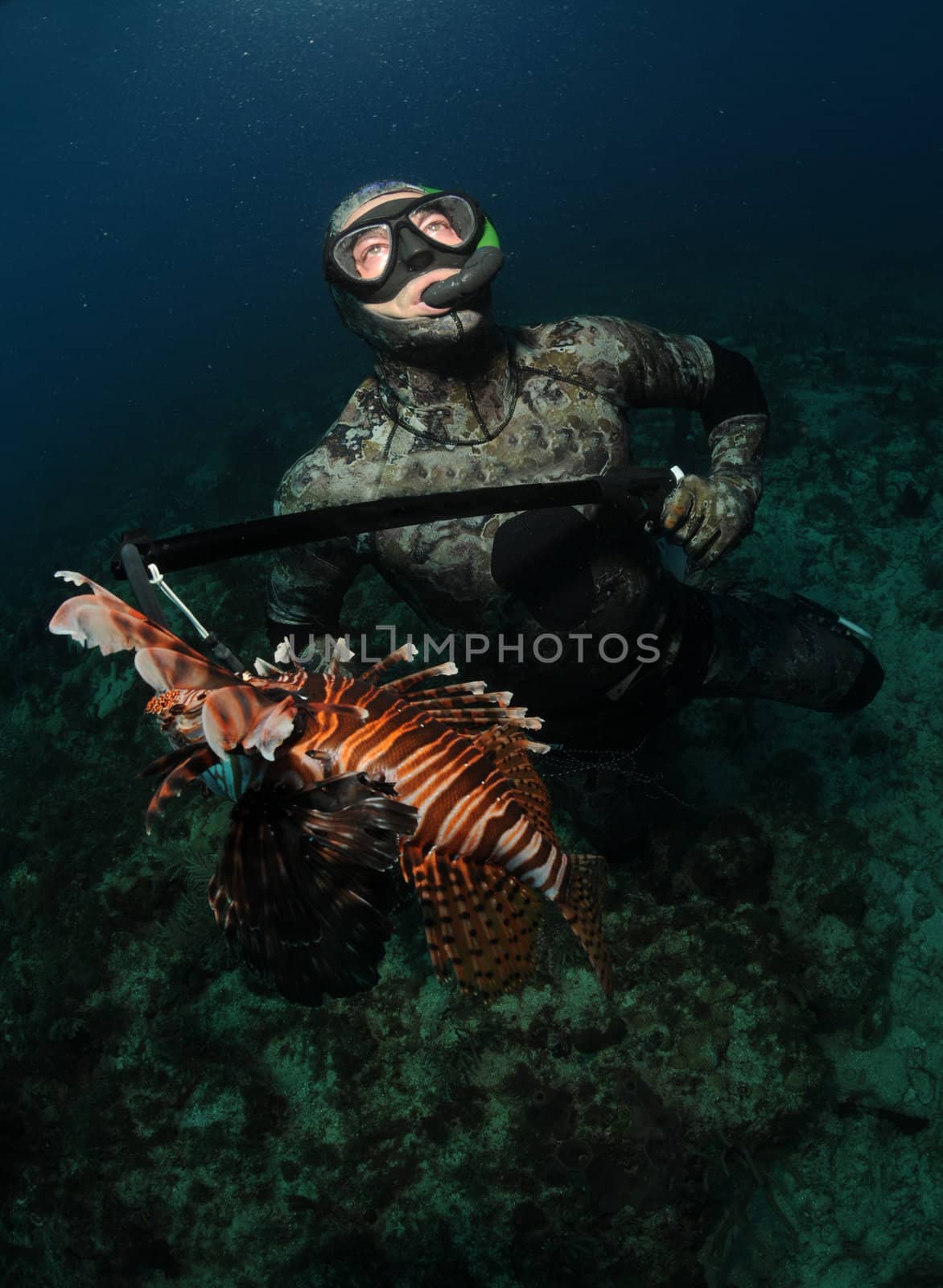 man killing lionfish off the coast of florida by ftlaudgirl