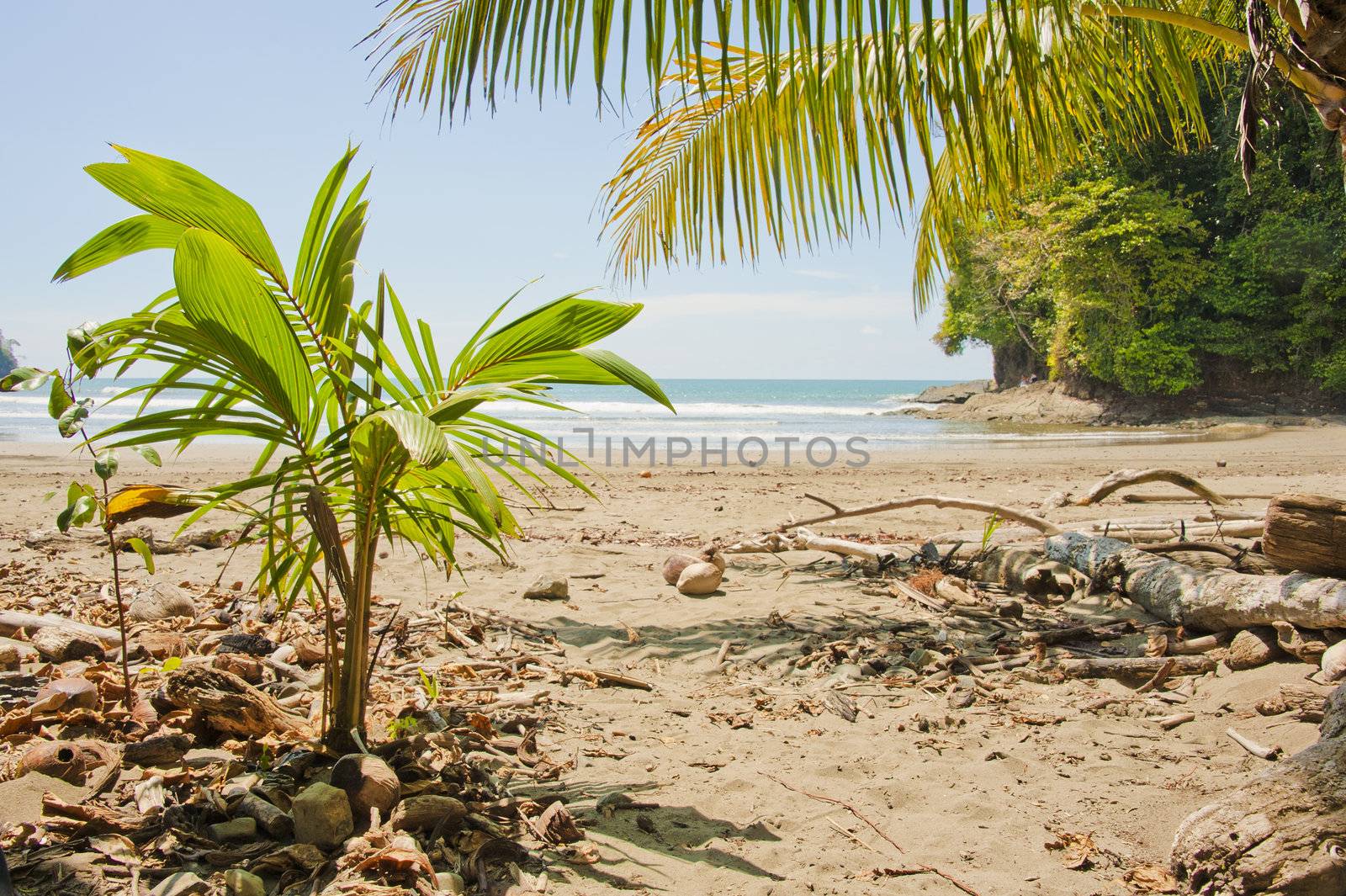 Deserted beautiful beach at Uvita in Costa Rica.