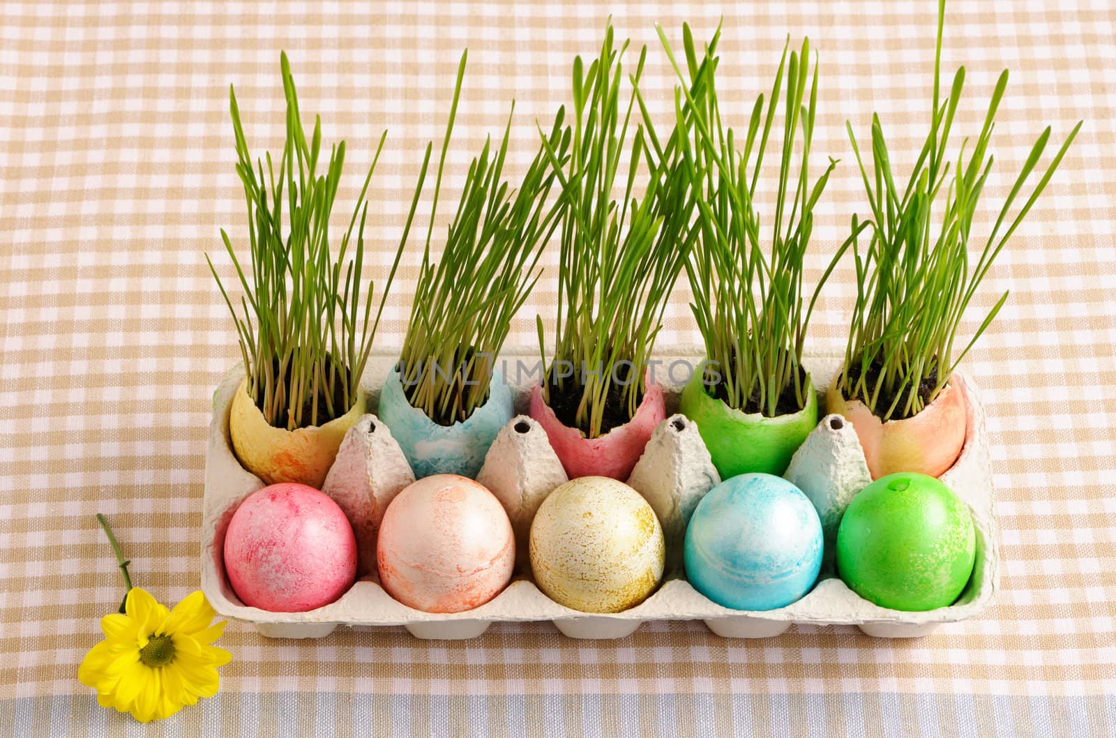 Colored easter eggs on table