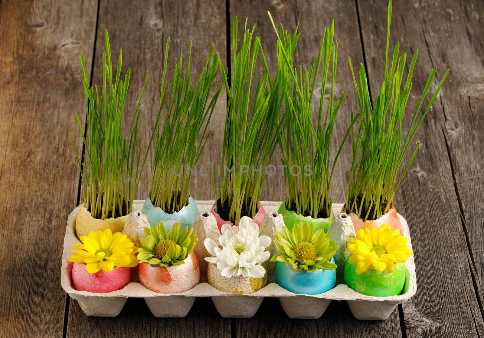 Colored easter eggs on wooden table