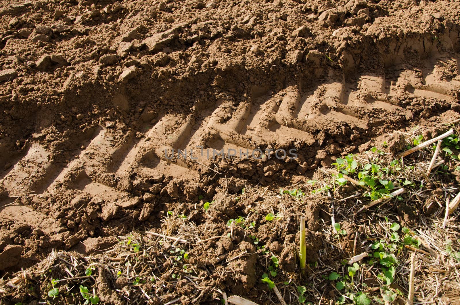 closeup of tractor heavy equipment wheel mark trail on soil of agriculture plow field.