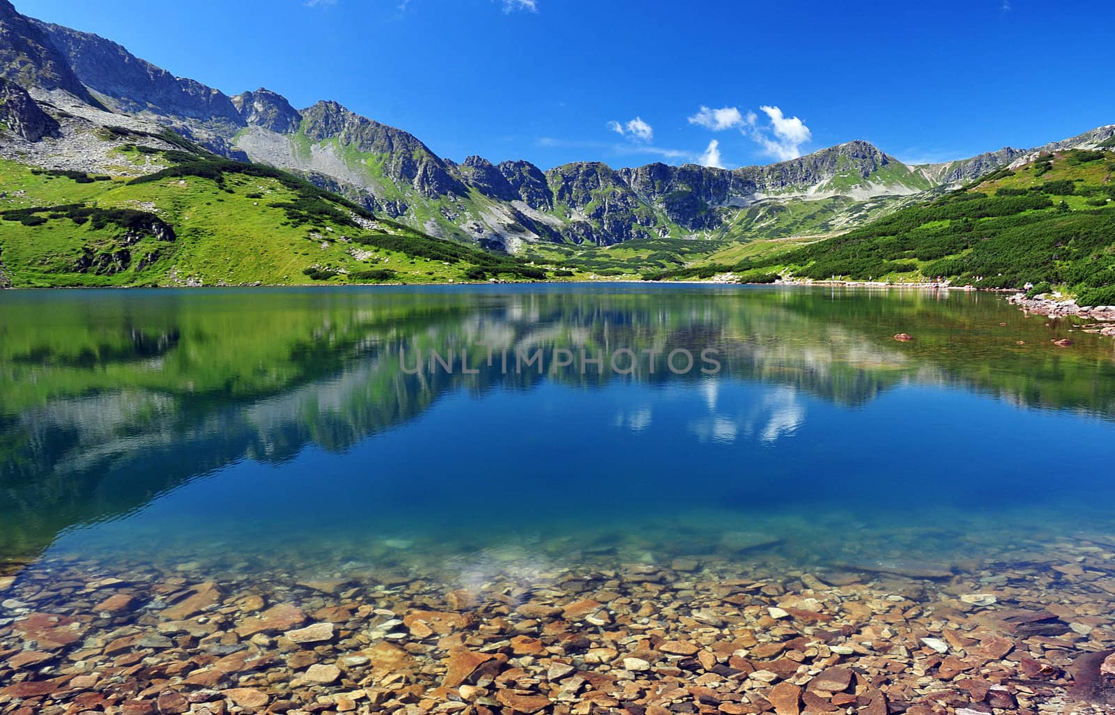 Lake in the mountains