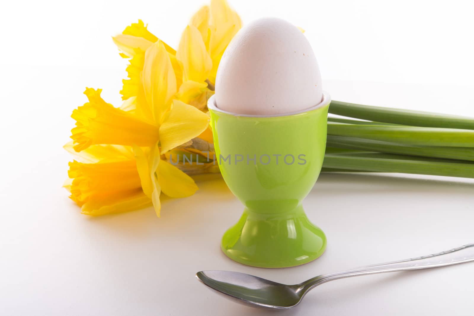 eggcup