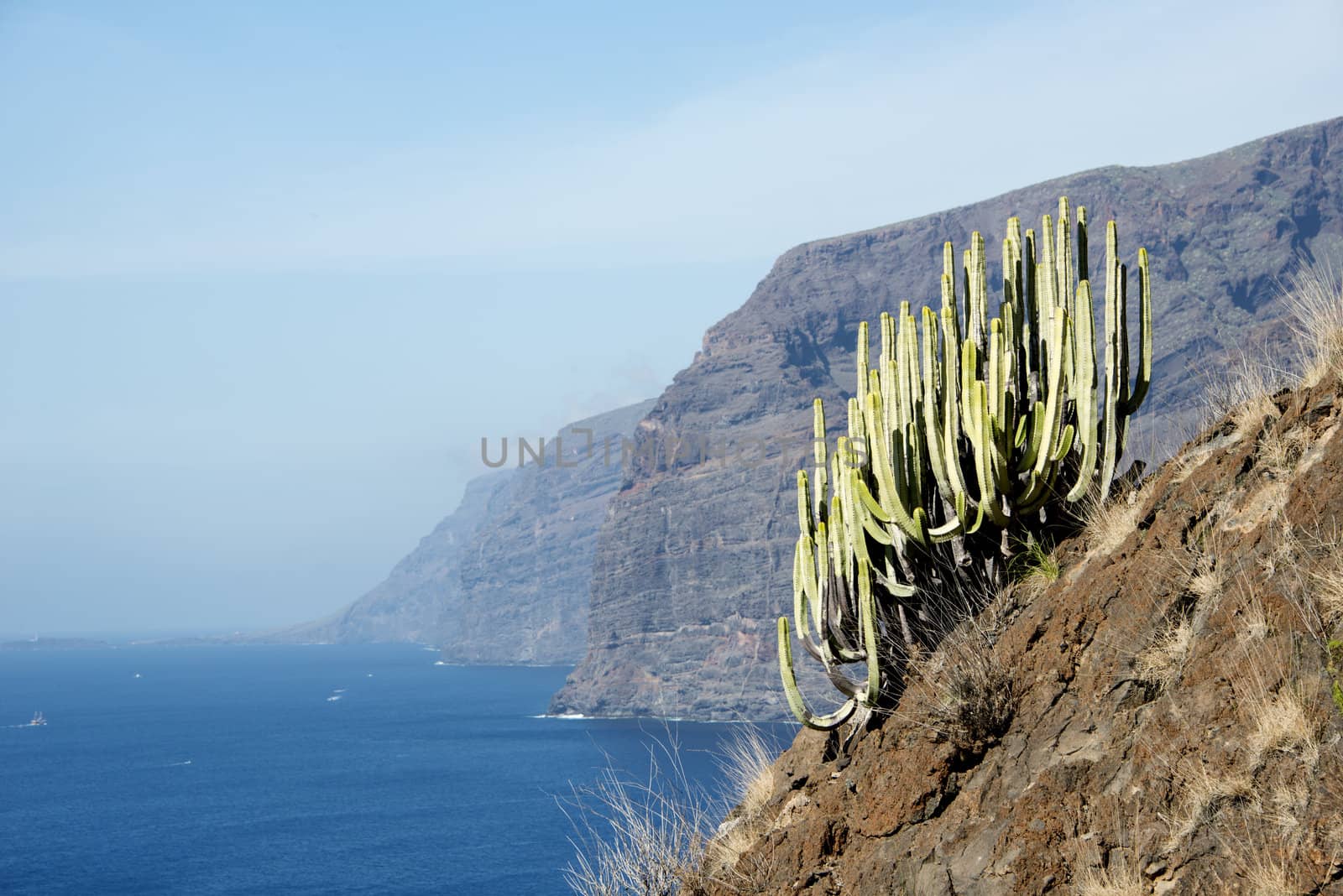 coas of los gigantos on the spanish island tenerife