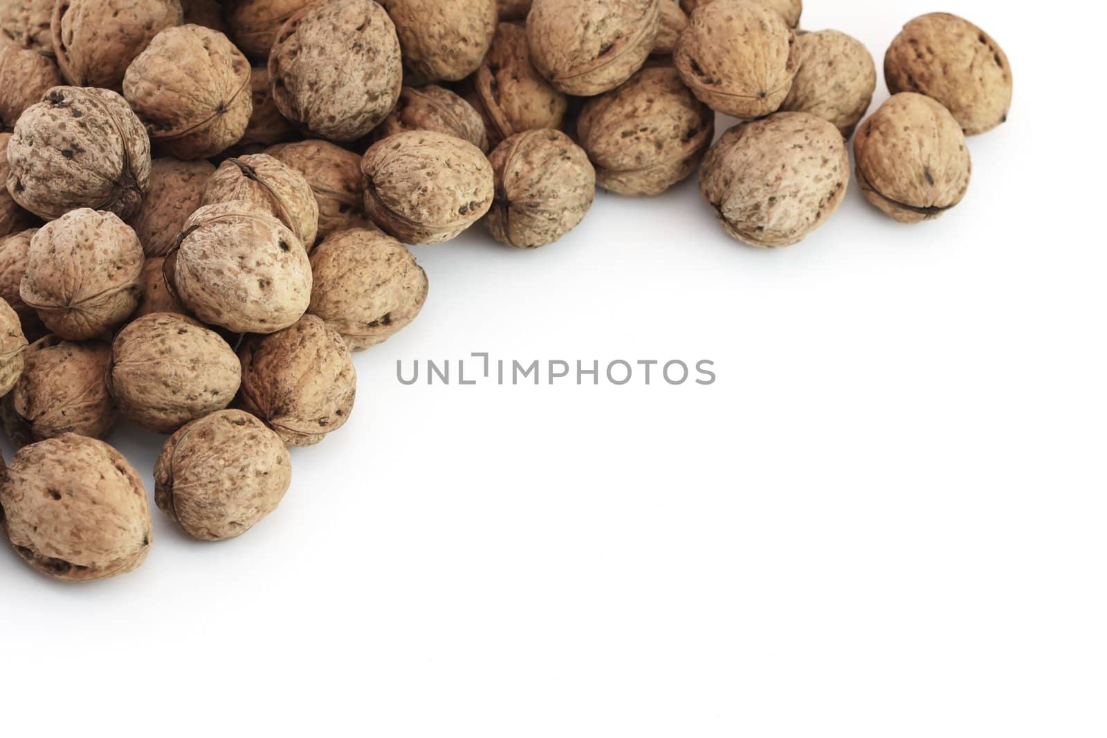 Walnuts by Gbuglok