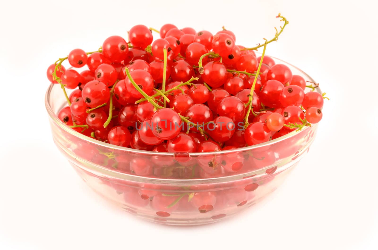 Red currant by subos