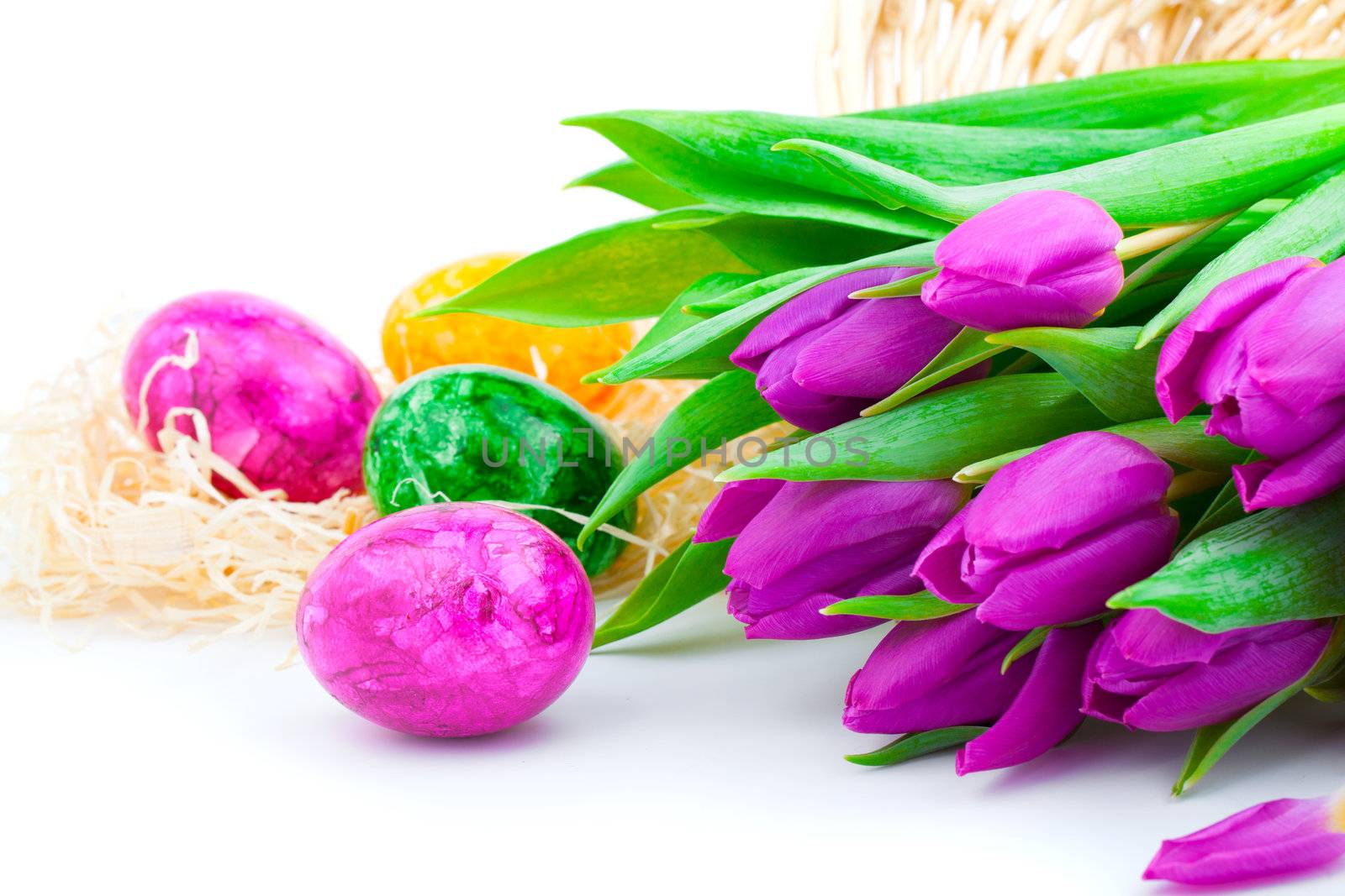Easter eggs and flower tulips