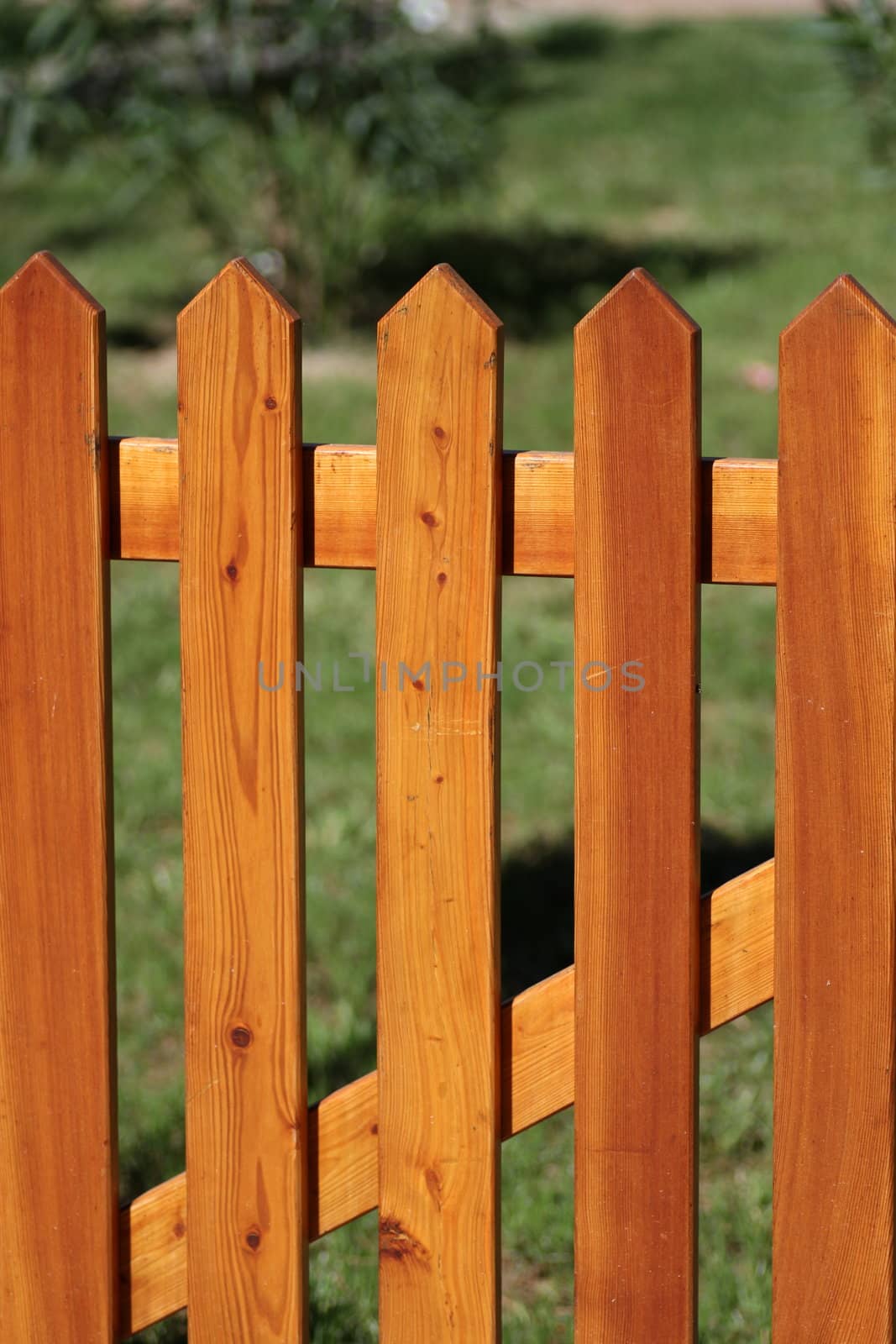 wooden fence on green background