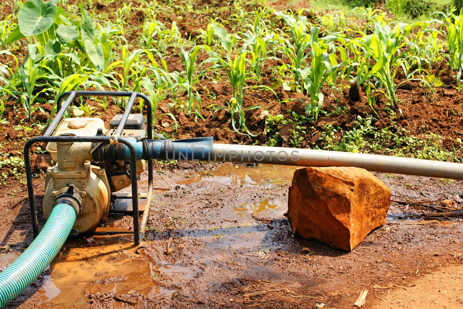 Water pump in the field during dry season by Mirage3