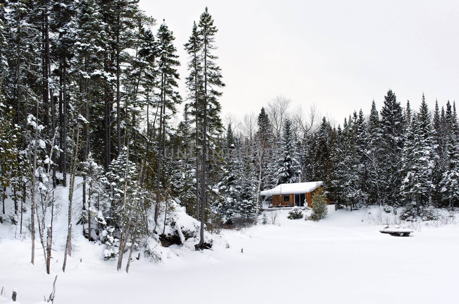 Great winter season landscape with a wood cabin and trees covered by snow on a cold winter day, cottage by a lake.