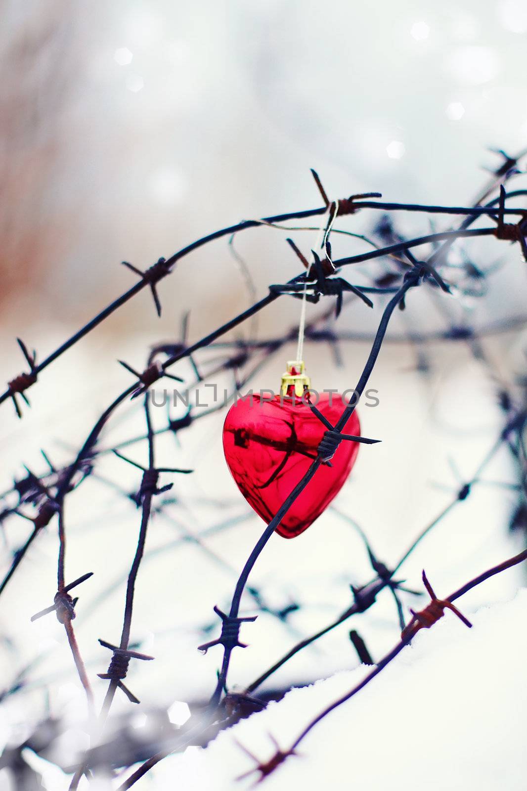 Heart and barbed wire. Love symbol. Symbol of love and metal