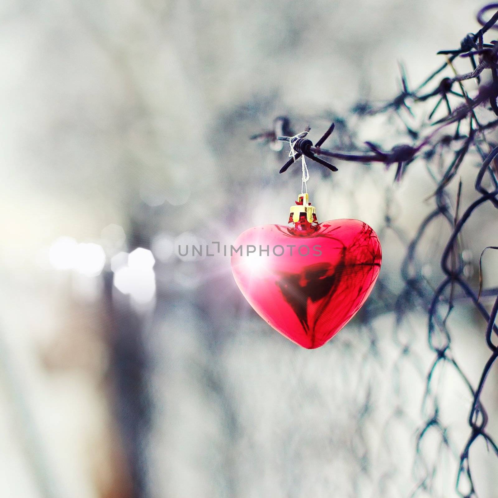 Heart and barbed wire. Love symbol. Symbol of love and metal