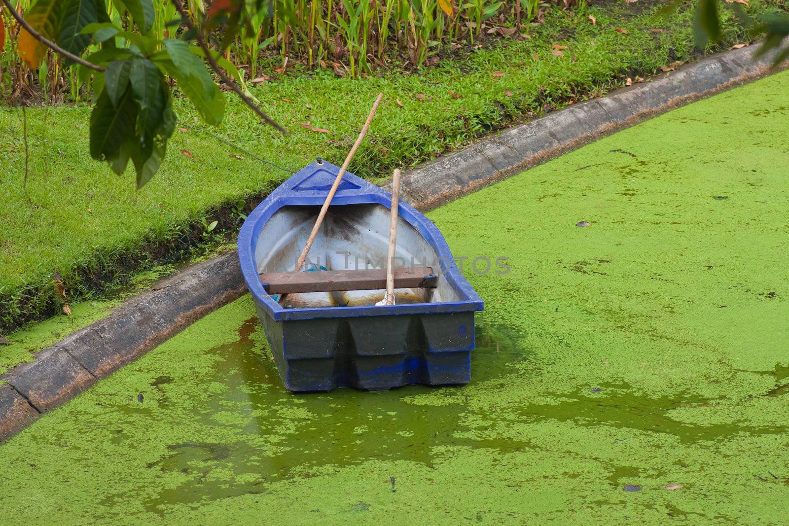 boat in the park by nikky1972