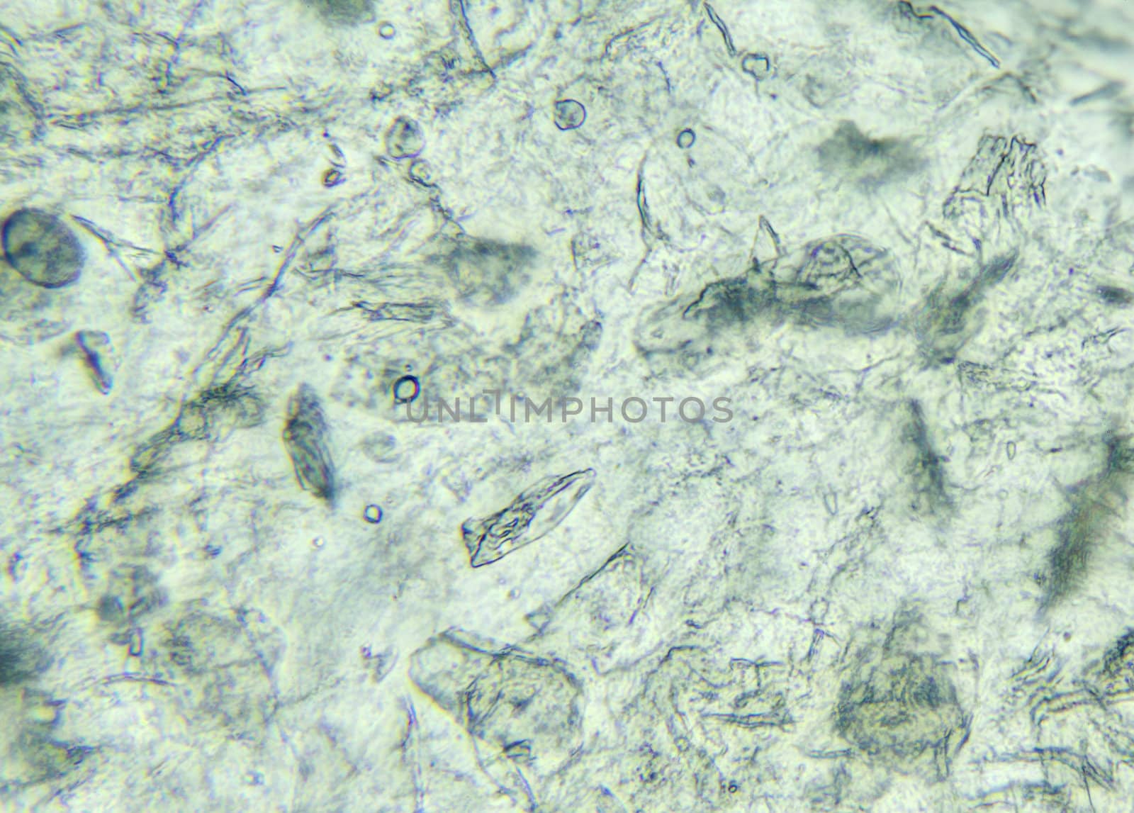 Skin under the microscope, background