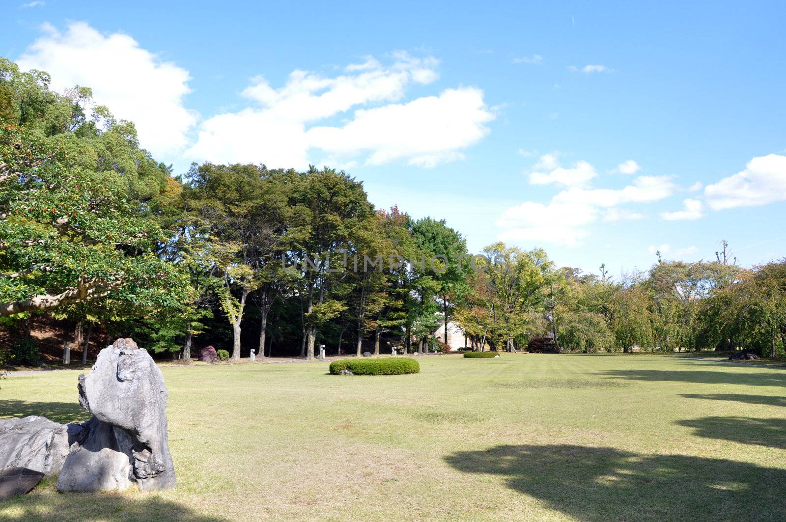 Beautiful summer japanese landscape, field, trees and blue sky 