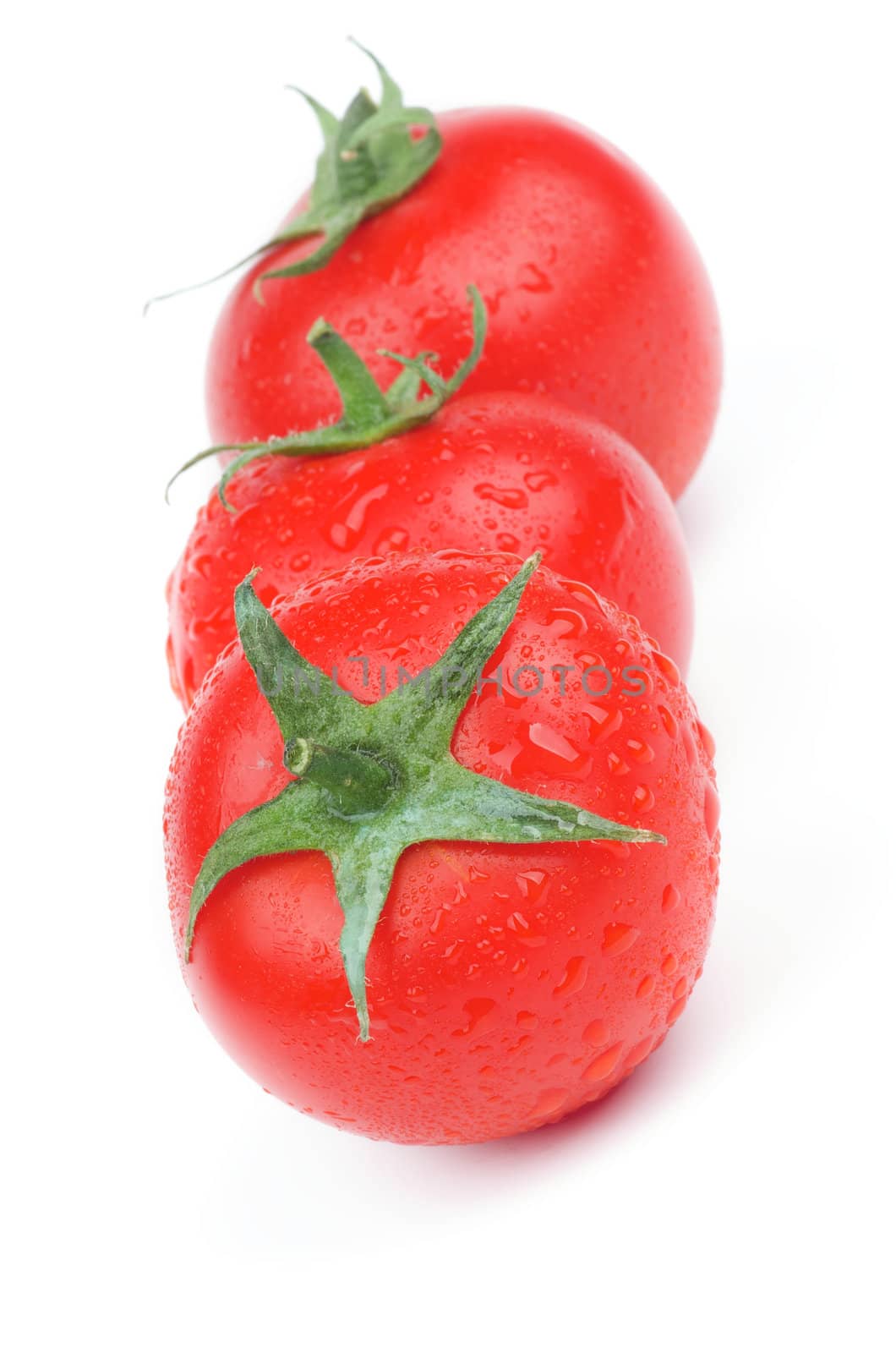 Three Perfect Raw Tomatoes with Stems and Droplets in a Row isolated on white background