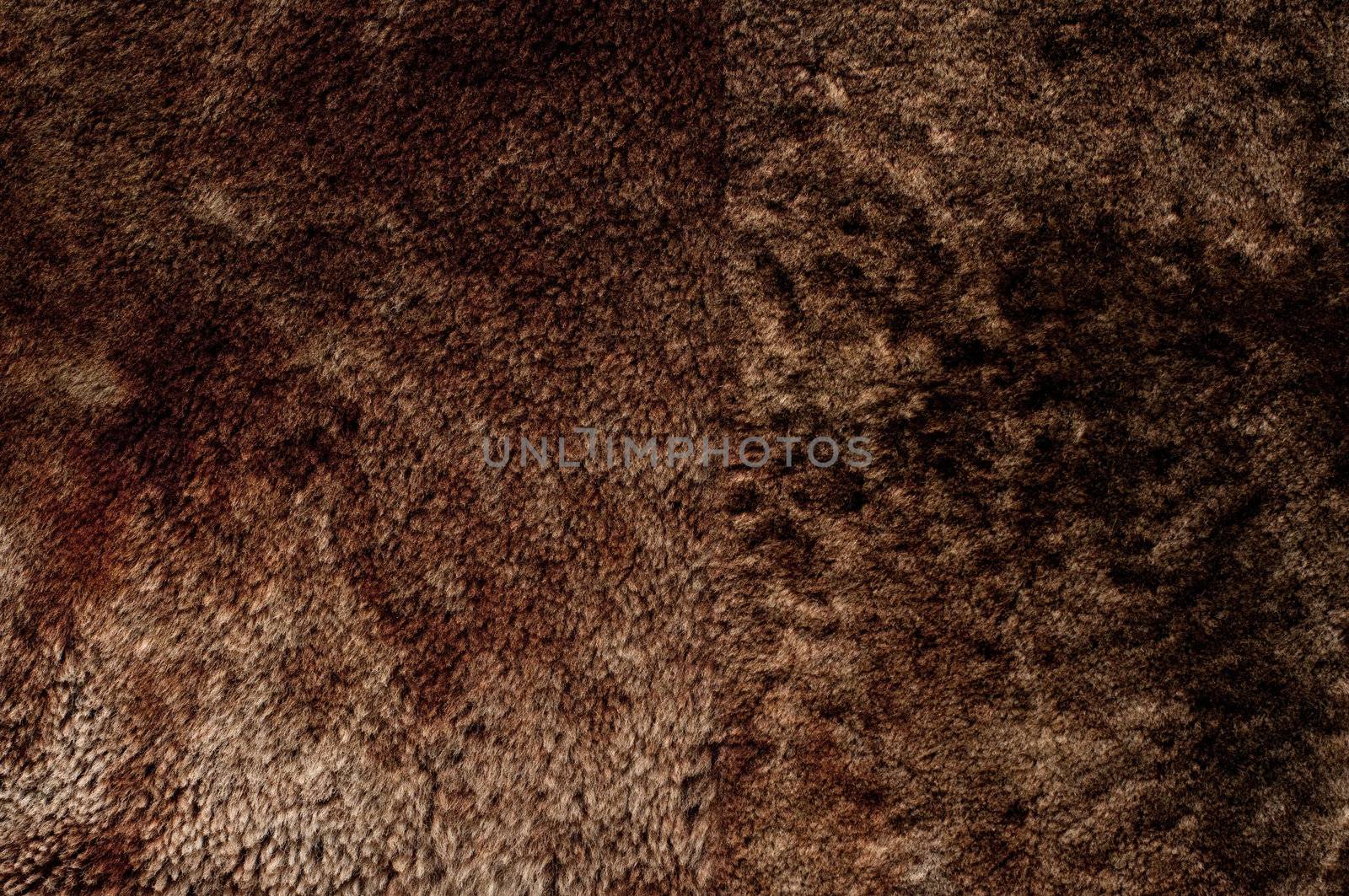 Close-up of brown fur by DNKSTUDIO