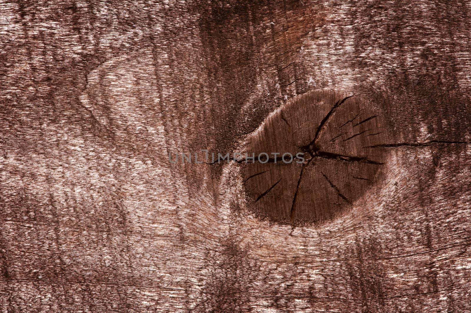 brown wood texture