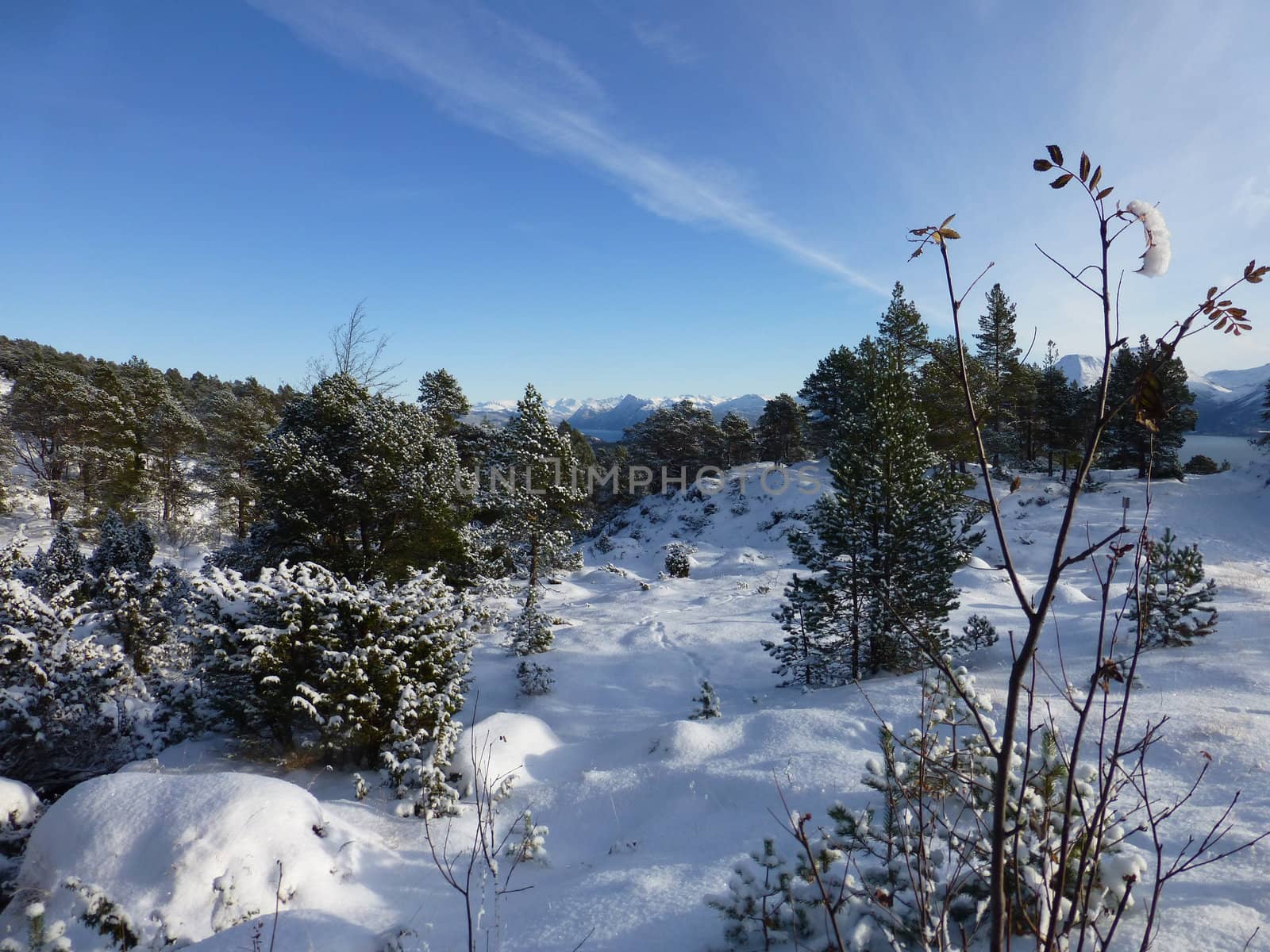 Winterpicture near Aalesund