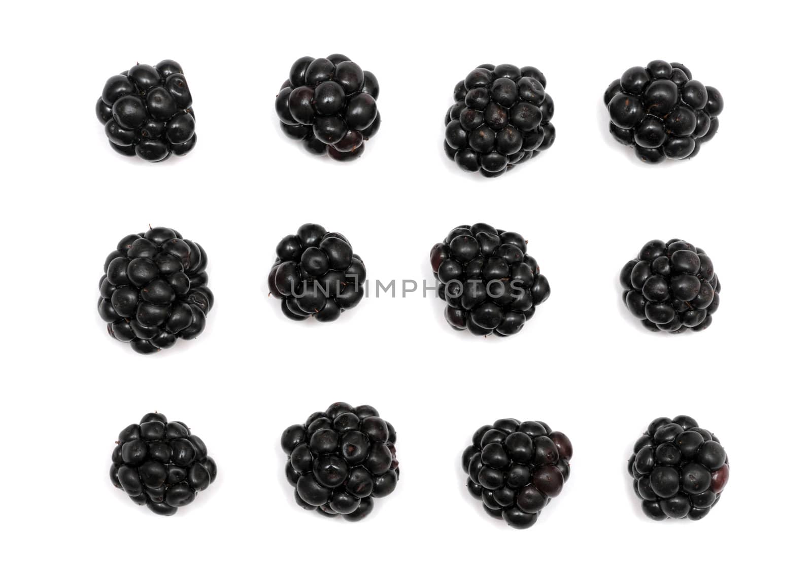 blackberry isolated on a white background by DNKSTUDIO