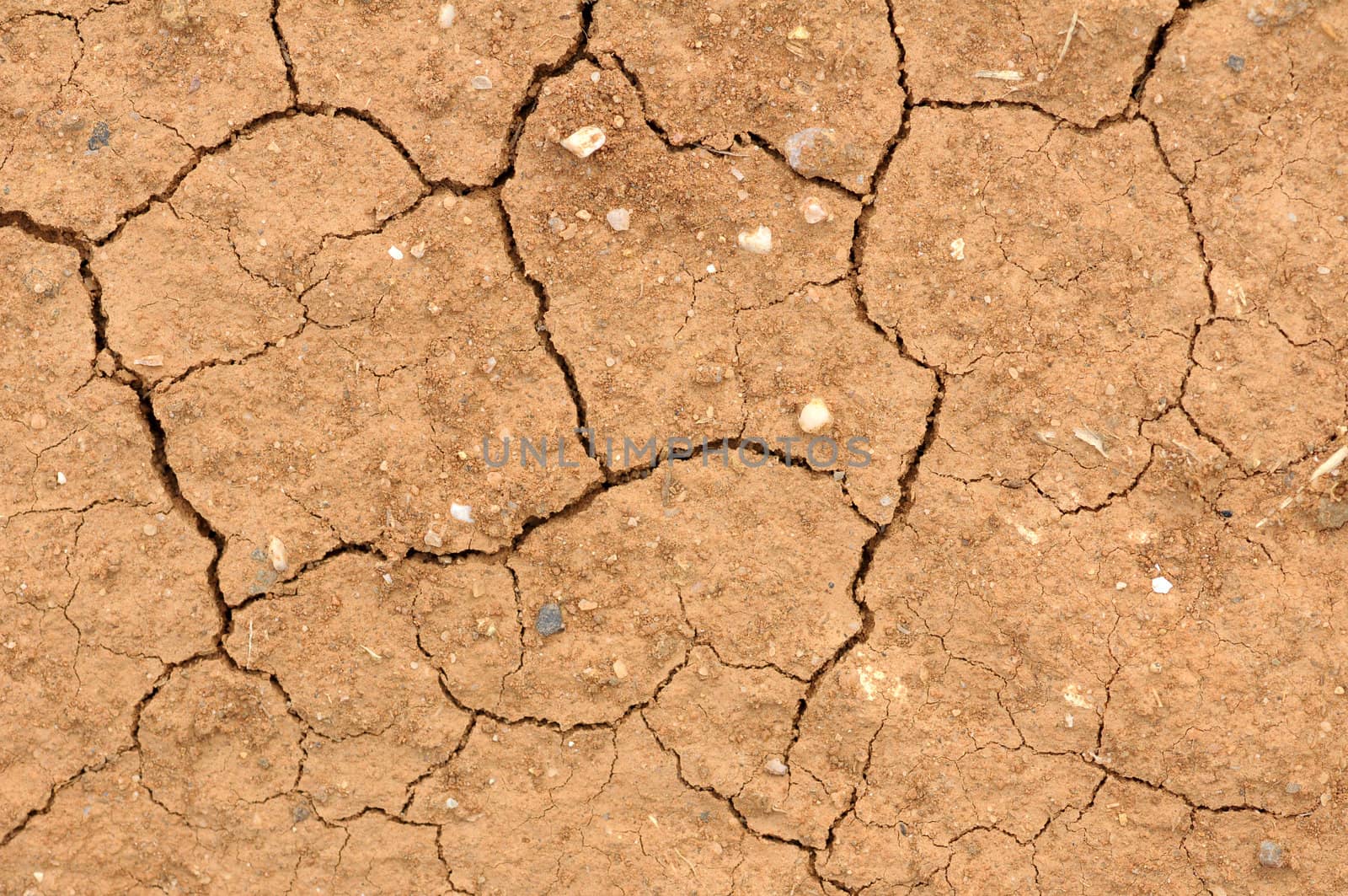 cracked clay soil into the dry season by DNKSTUDIO