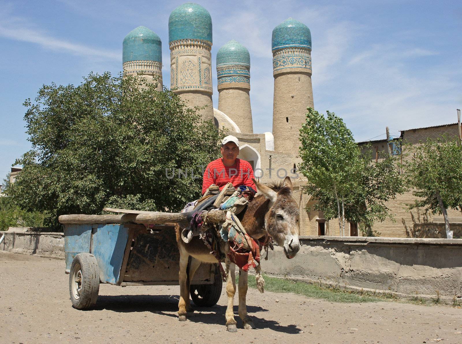 Man with donkey-cart in front of madrassa Chor Minor, Bukhara, Uzbekistan
