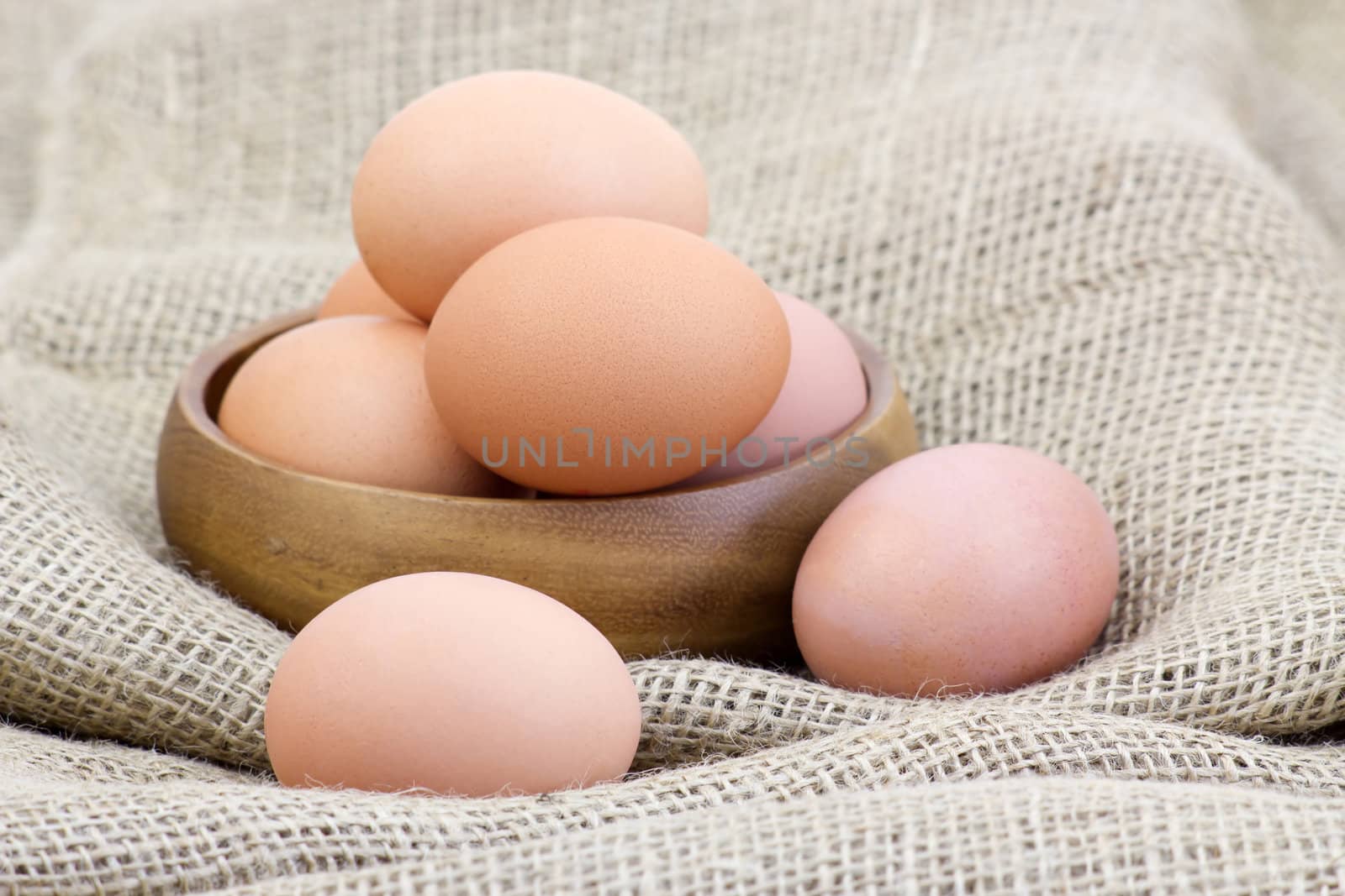eggs