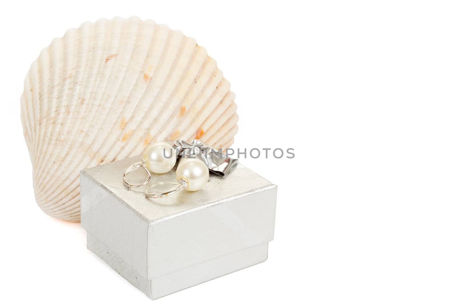 two pearl earrings, shells and gift box isolated on white background