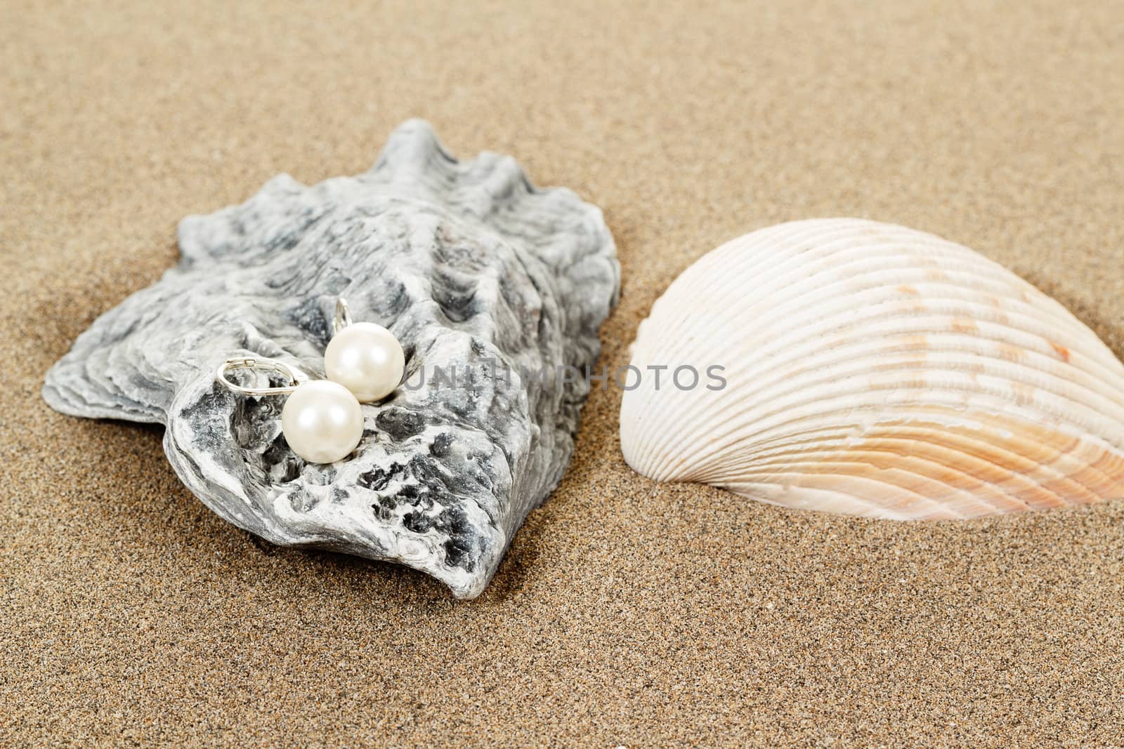 two pearl earrings and shells on sand background