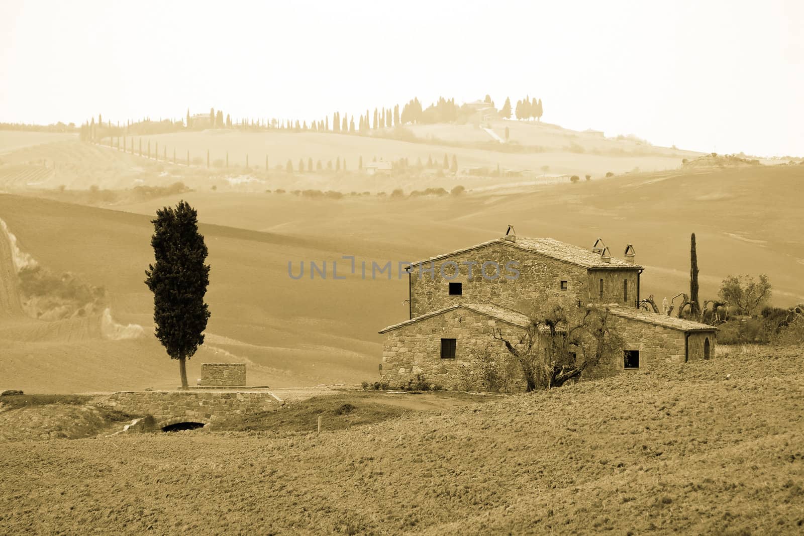 typical tuscan landscape