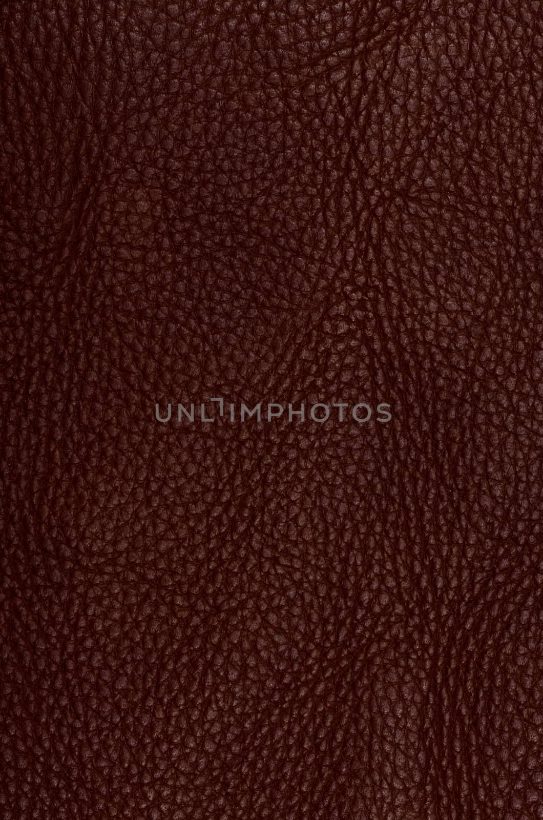 Brown leather texture closeup background by DNKSTUDIO