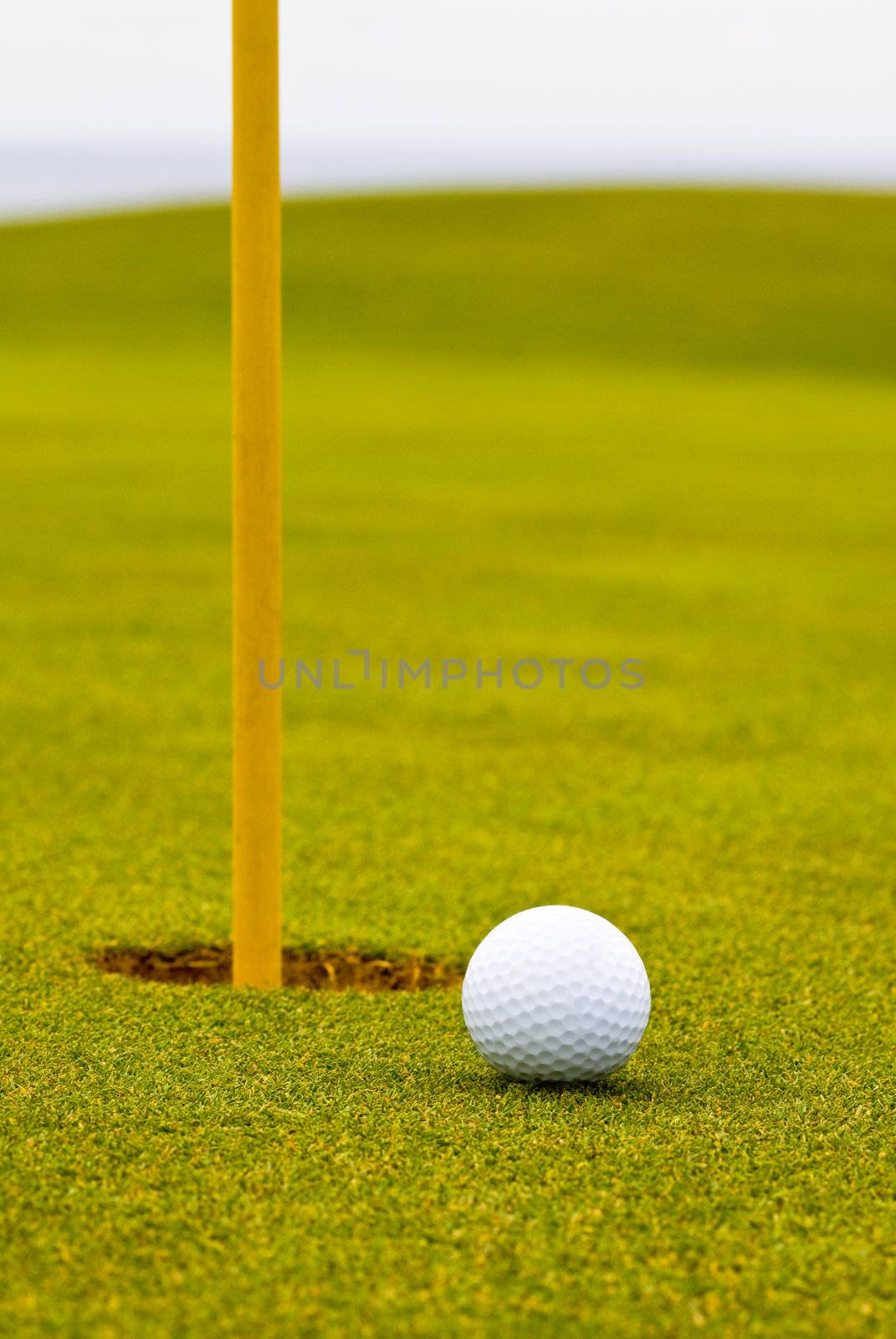 Golf ball near hole on green grass