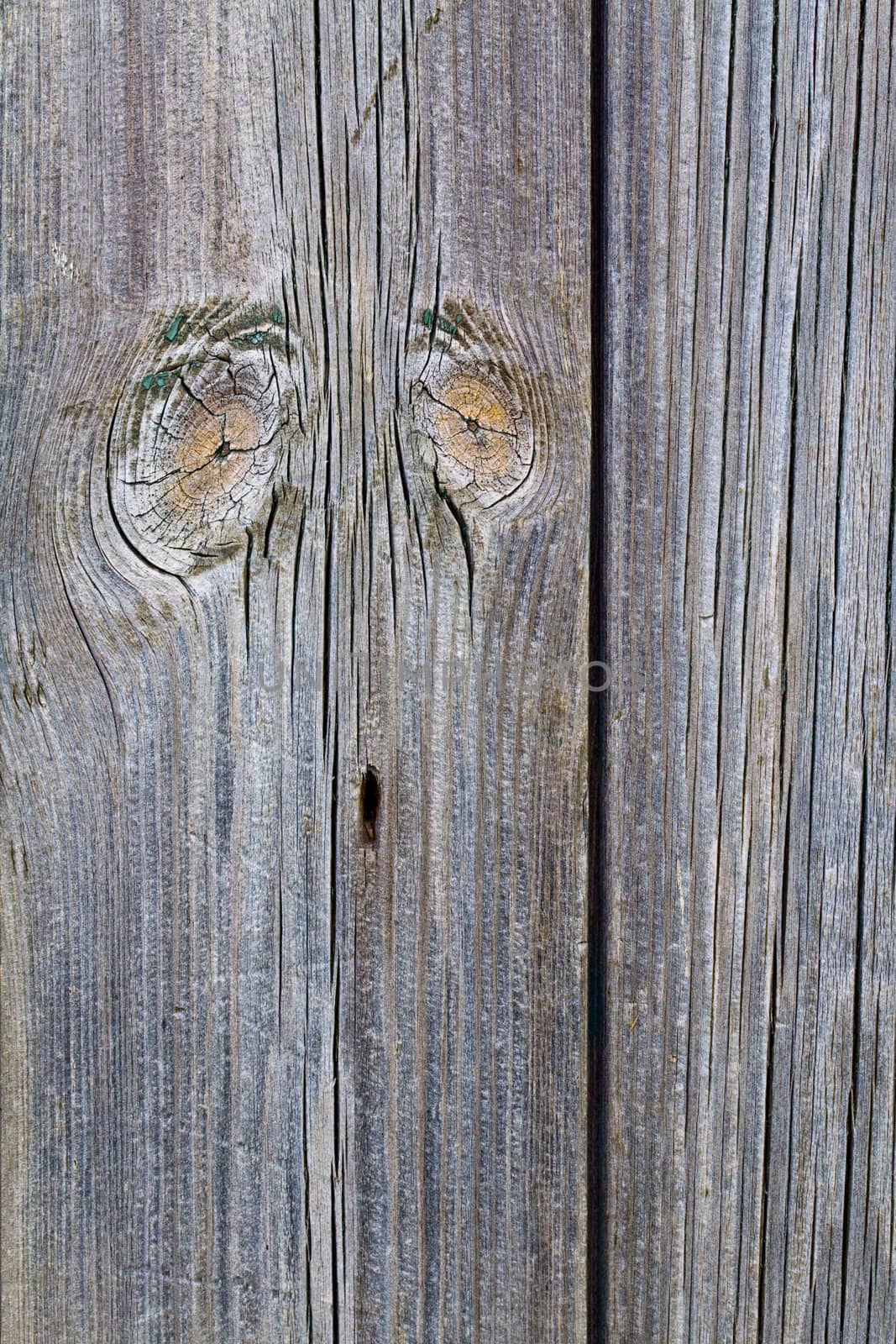 Close up on the gray-brown wooden wall with knags, background, looks like face, eyes