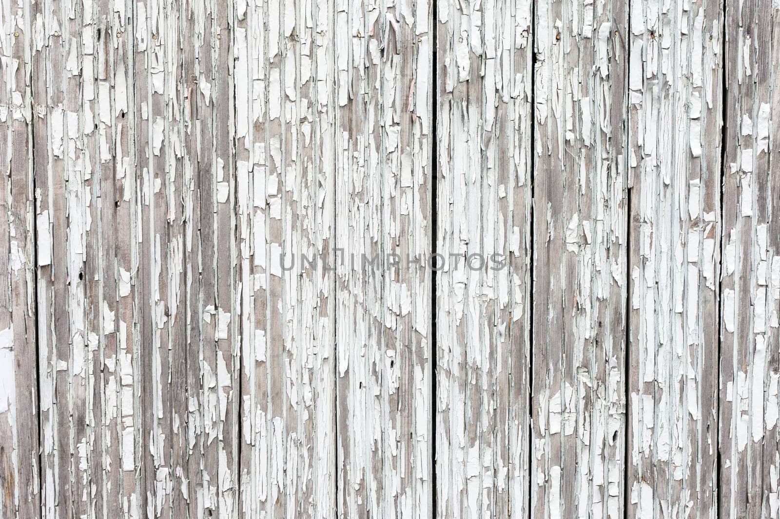 Vintage or grungy white background of natural wood or wooden old texture as a retro pattern wall.