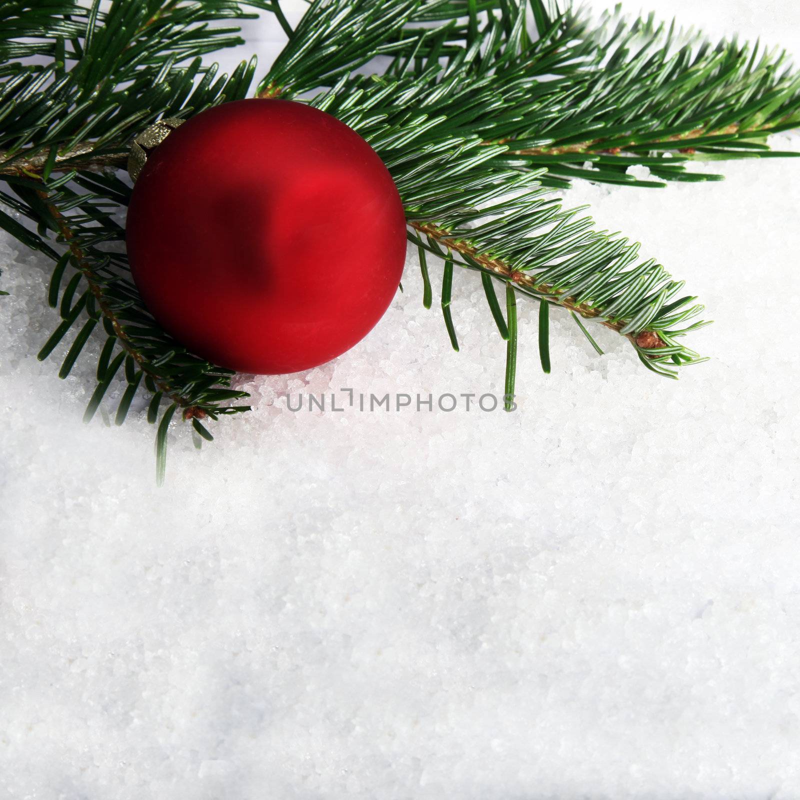Red Christmas bauble and pine tree branches on snow