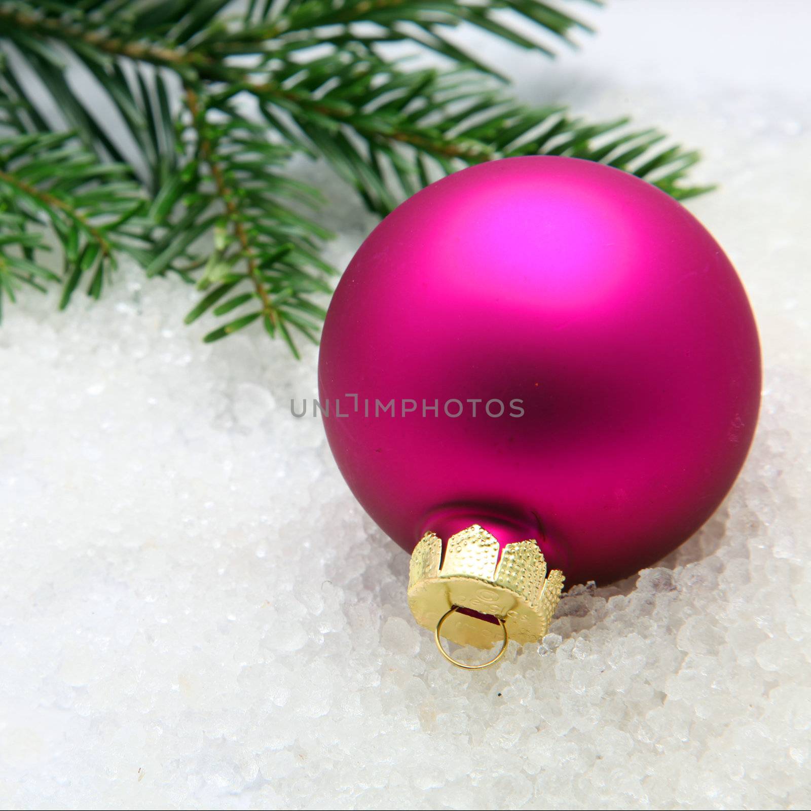 Fuchsia colored Christmas bauble on snow with pine tree branches