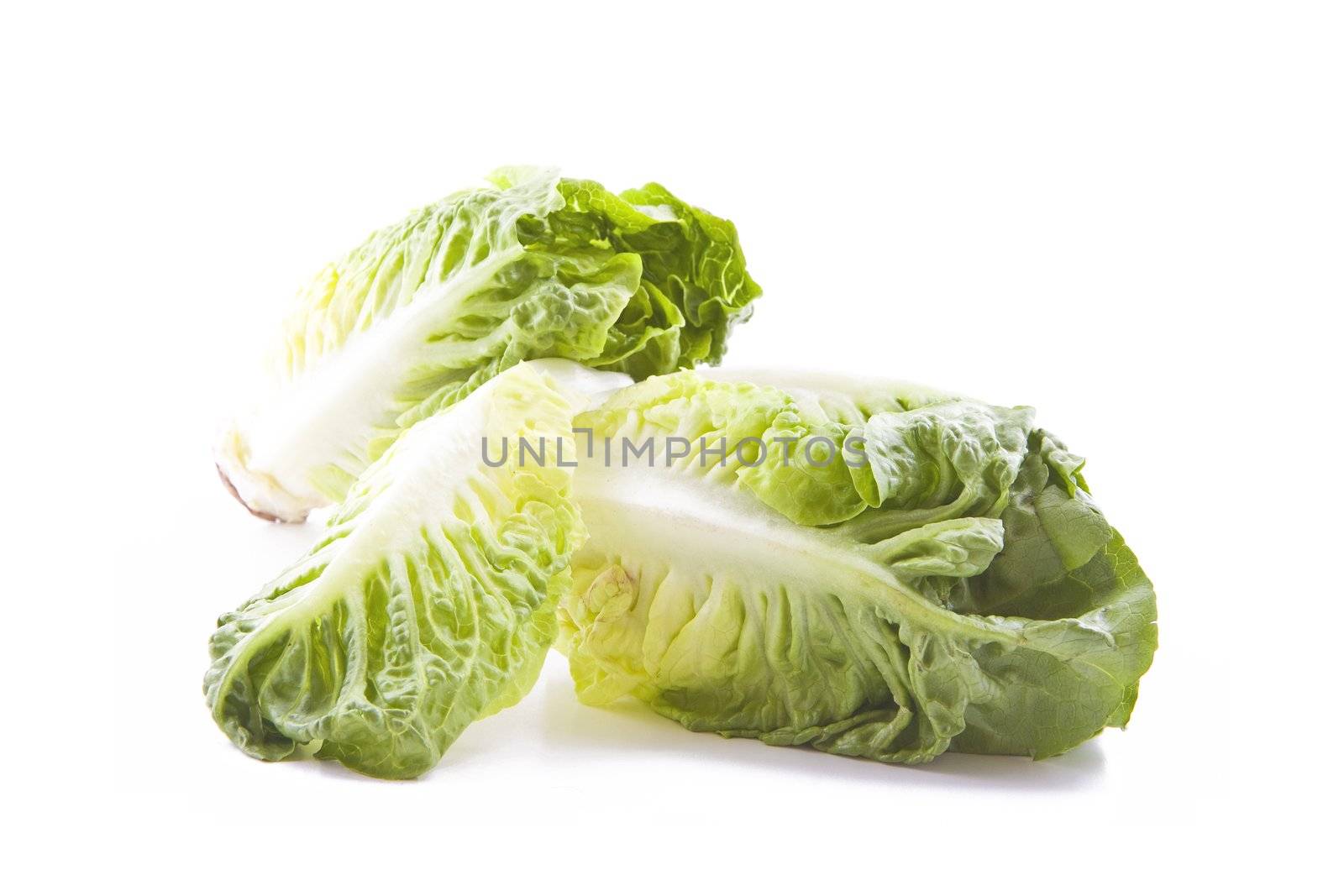 Fresh green leafs of lettuces isolated on white