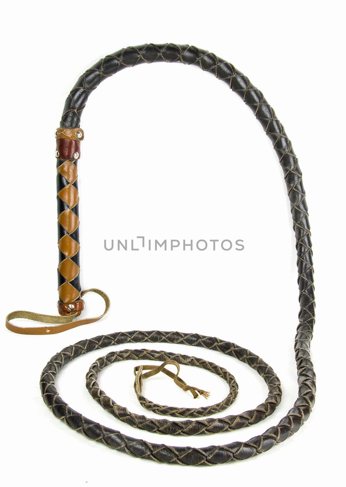 a leather whip