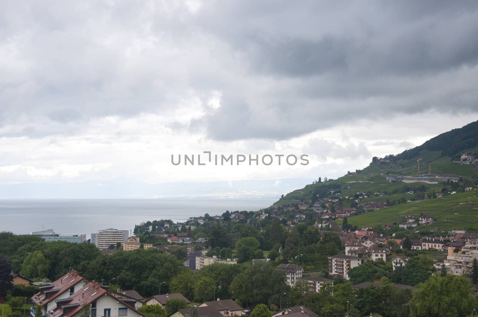 Houses amidst vineyards by Lake Geneva in Vevey, Switzerland