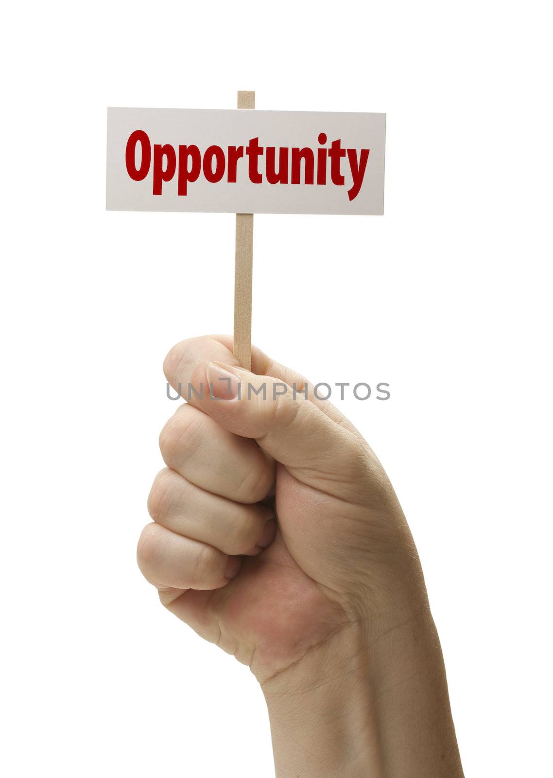 Opportunity Sign In Male Fist Isolated On A White Background.