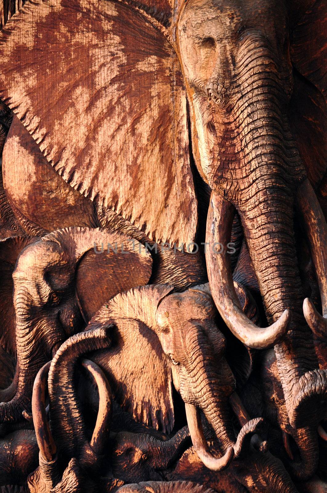 Elephants are the largest living land animals on Earth today.