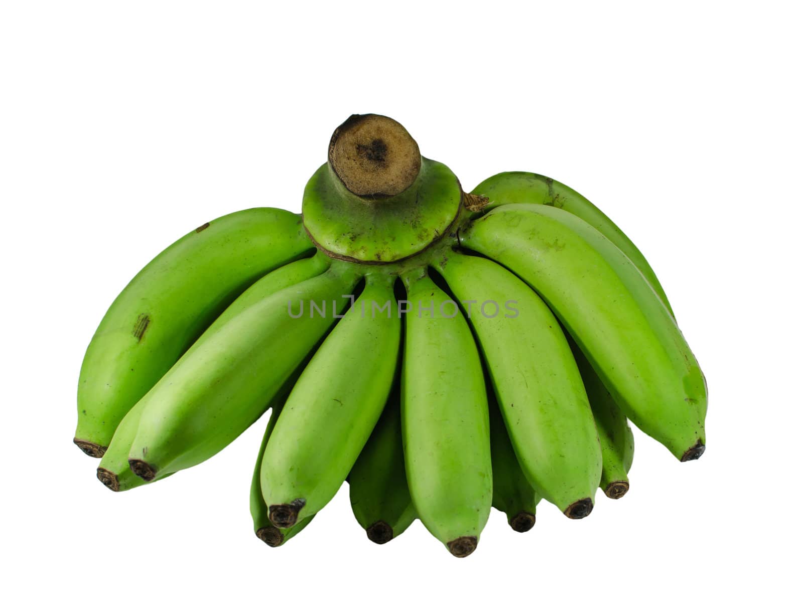 banana by aoo3771