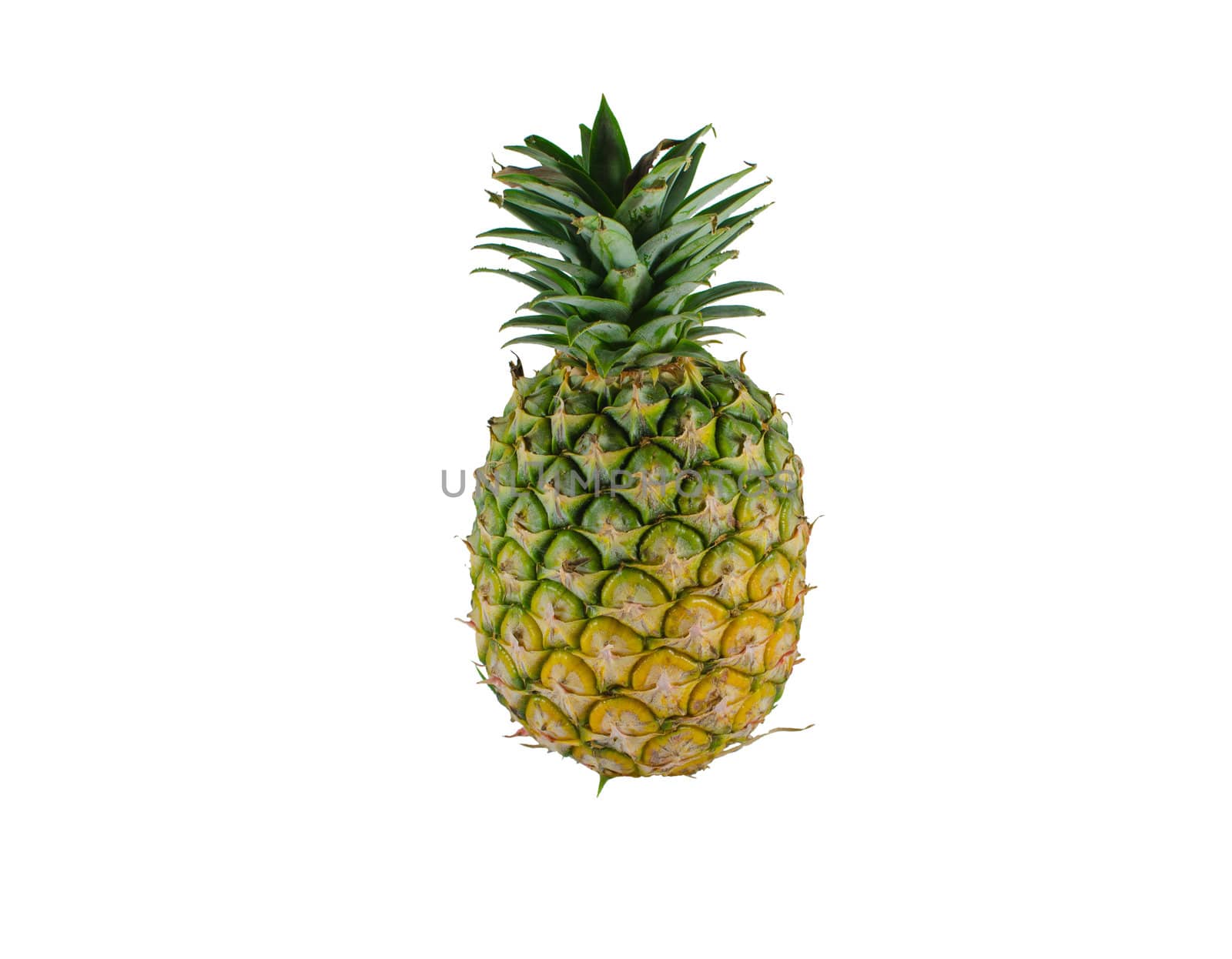 Colorful pineapple at a white background