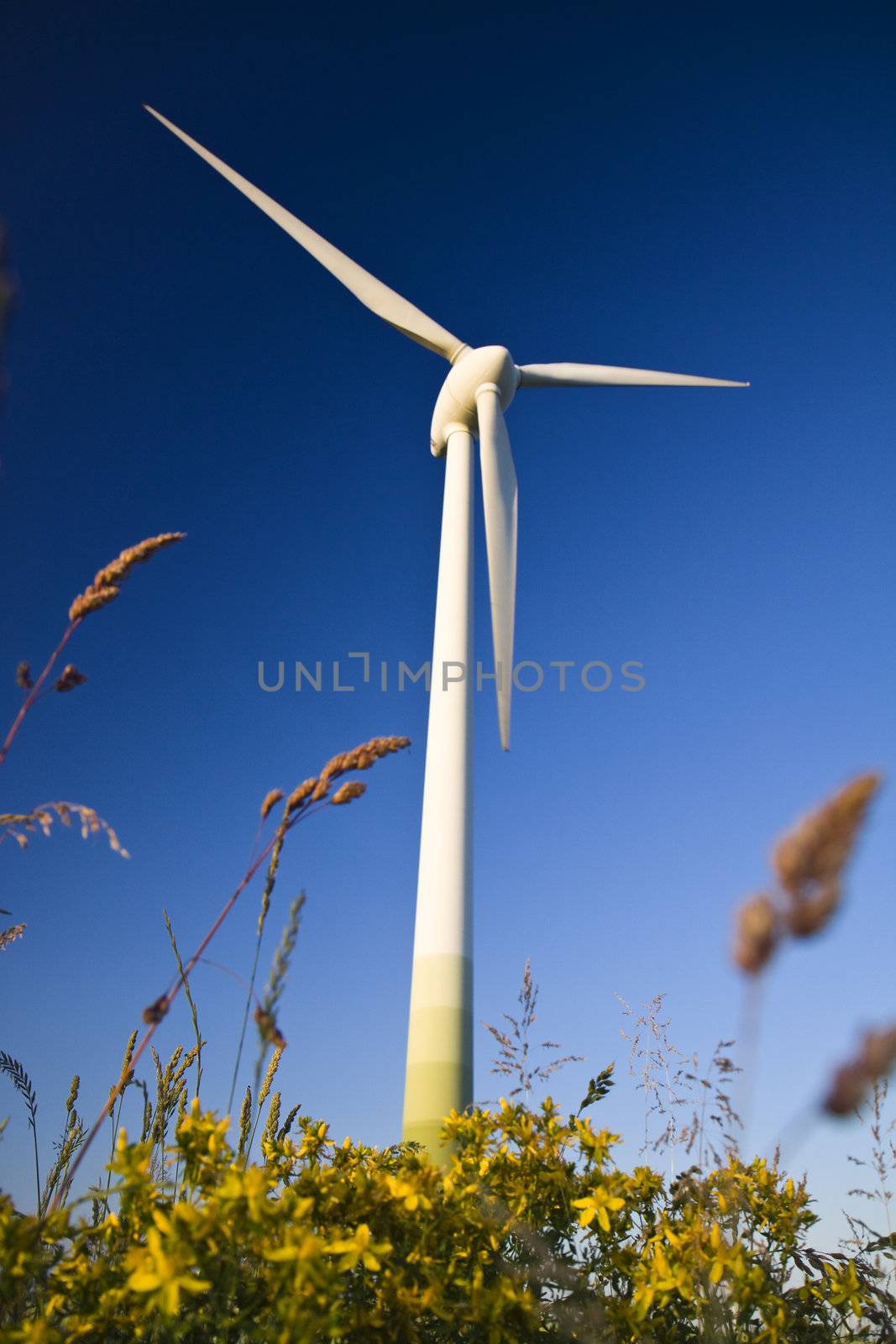 Windmills against a blue sky, alternative energy source