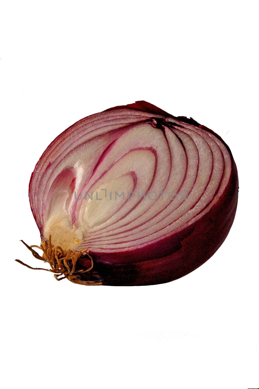 Almost transparent slice of onion